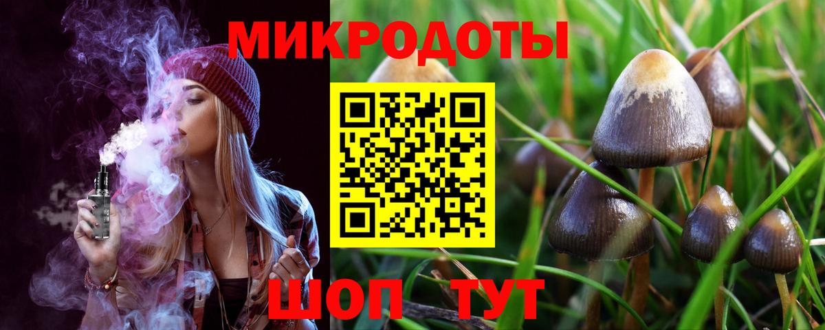 Псилоцибиновые грибы ЛСД  Вход с VPN  где можно купить   Галлюциногенные грибы Psilocybe  Владимир 